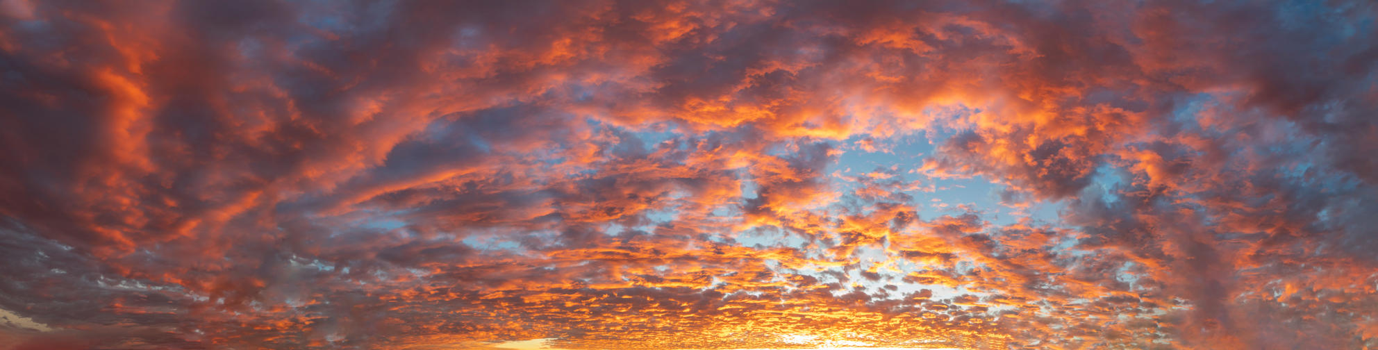 Day of Creation | Luminar Marketplace(50)