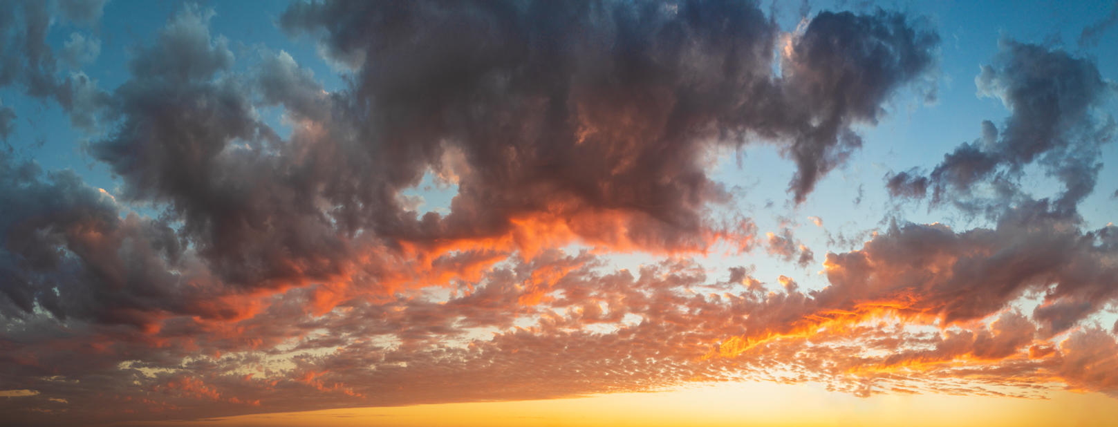 Day of Creation | Luminar Marketplace(52)