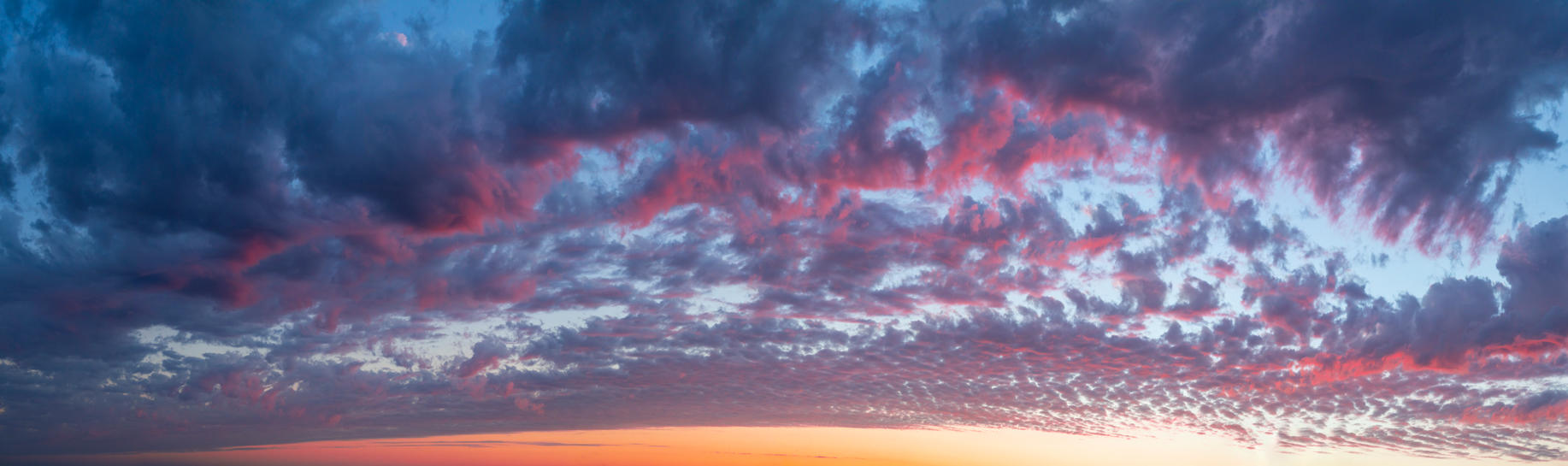 Day of Creation | Luminar Marketplace(53)