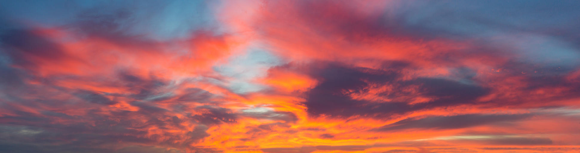 Day of Creation | Luminar Marketplace(55)