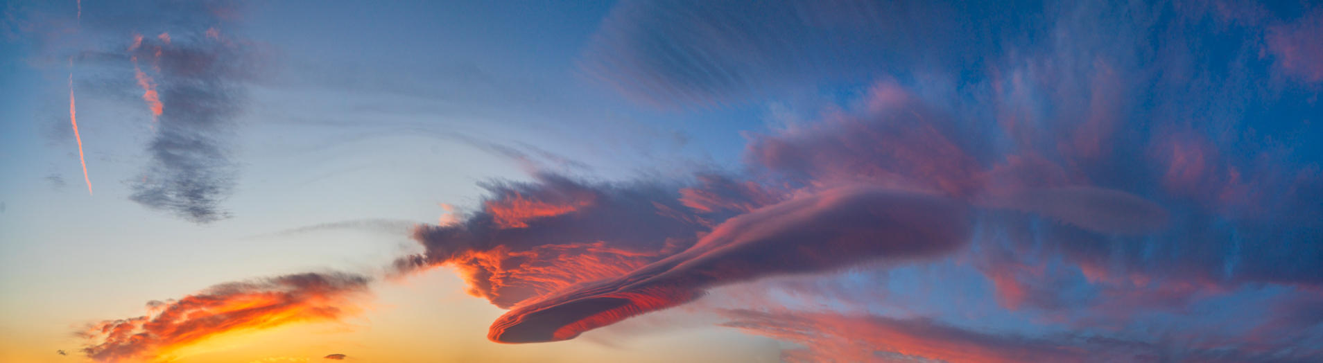 Day of Creation | Luminar Marketplace(59)