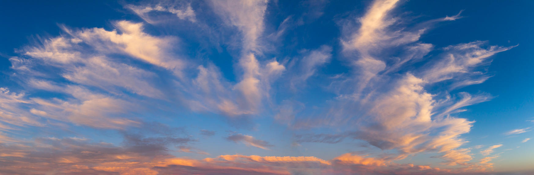 Day of Creation | Luminar Marketplace(62)