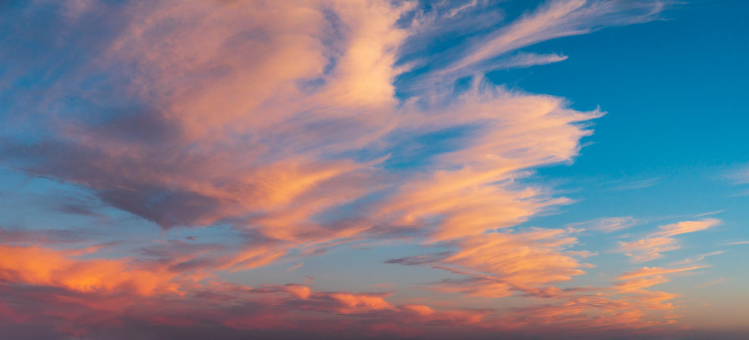 Day of Creation | Luminar Marketplace(63)