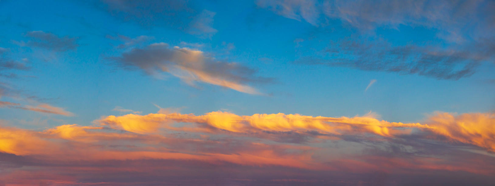 Day of Creation | Luminar Marketplace(64)