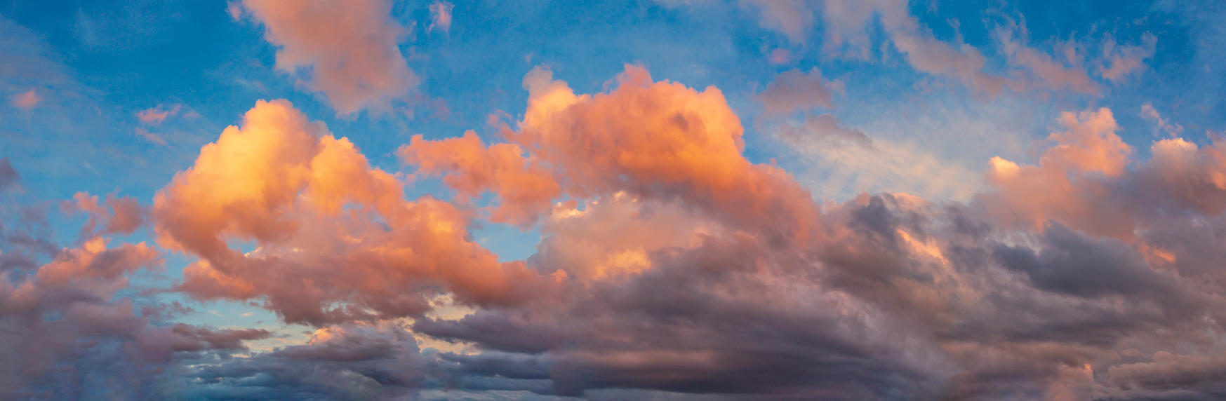 Day of Creation | Luminar Marketplace(66)