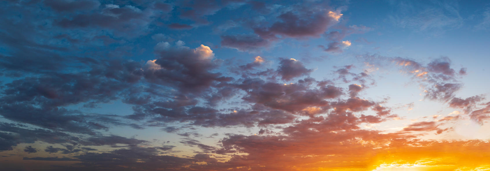 Day of Creation | Luminar Marketplace(67)