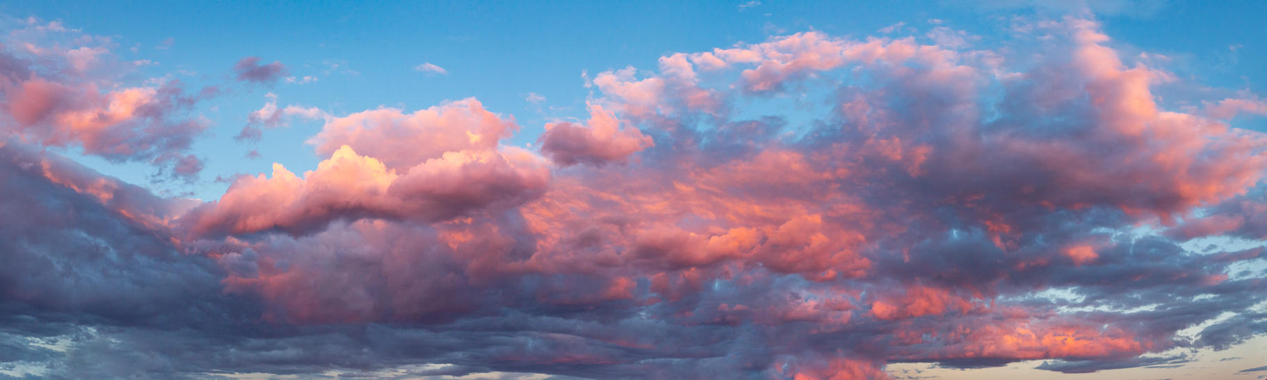 Day of Creation | Luminar Marketplace(70)