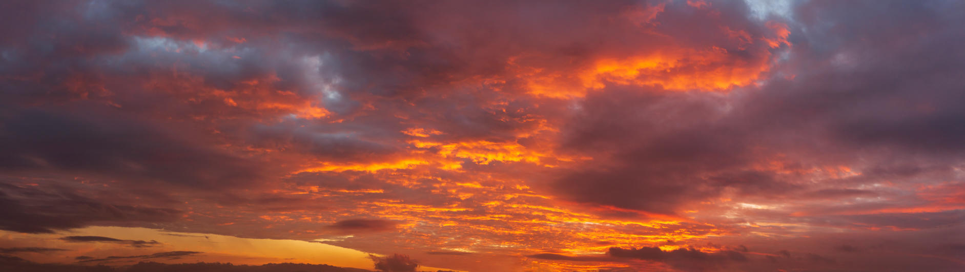 Day of Creation | Luminar Marketplace(72)