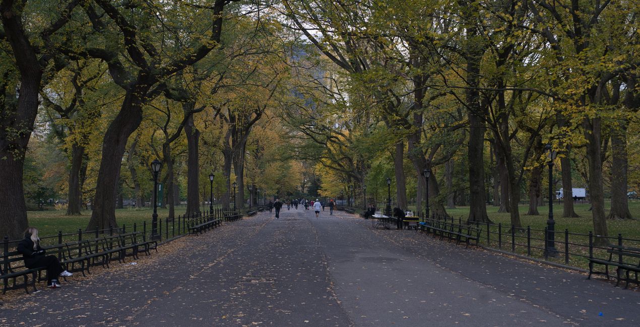 Urban Stories Presets for Luminar | Marketplace(39)