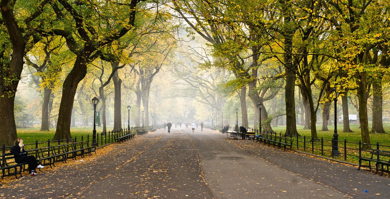 Urban Stories Presets for Luminar | Marketplace(40)