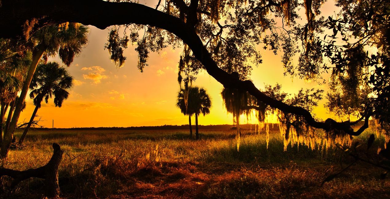 Urban Stories Presets for Luminar | Marketplace(46)