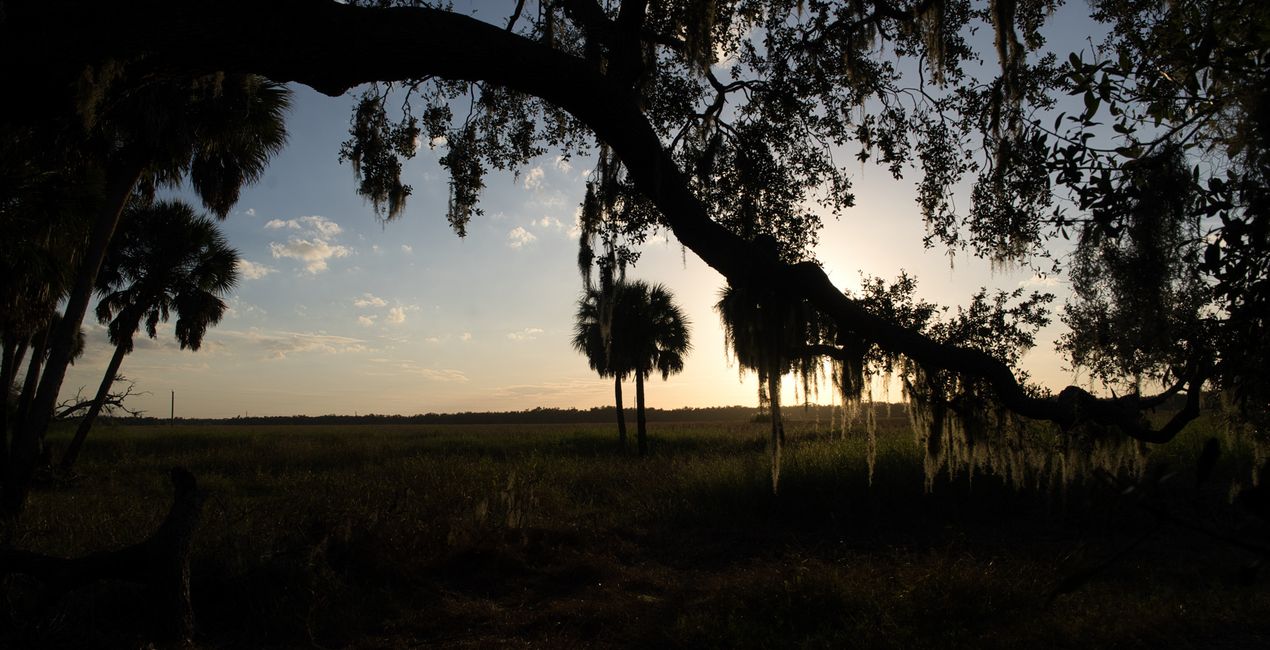 Urban Stories Presets for Luminar | Marketplace(45)