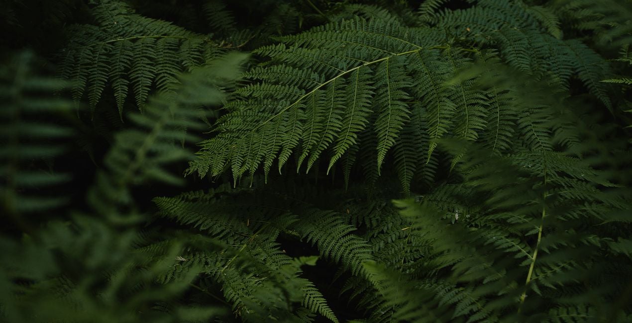 Préréglages Couleurs d'Aventure pour Luminar | Marketplace(45)