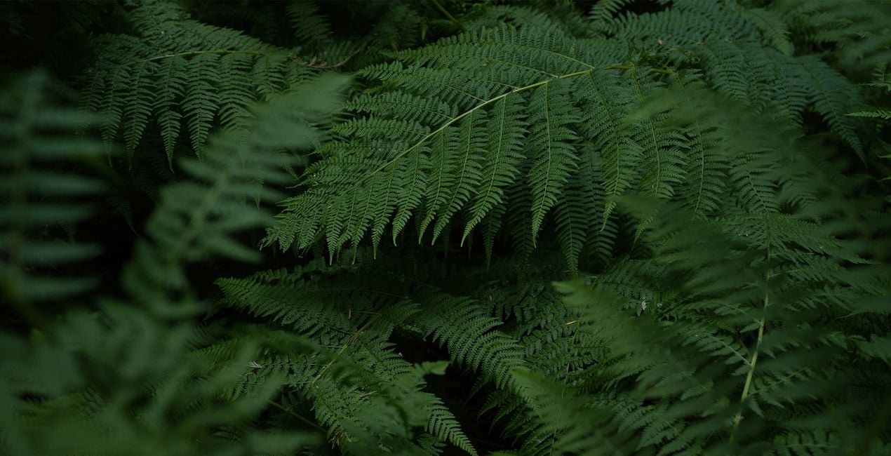 Préréglages Couleurs d'Aventure pour Luminar | Marketplace(44)