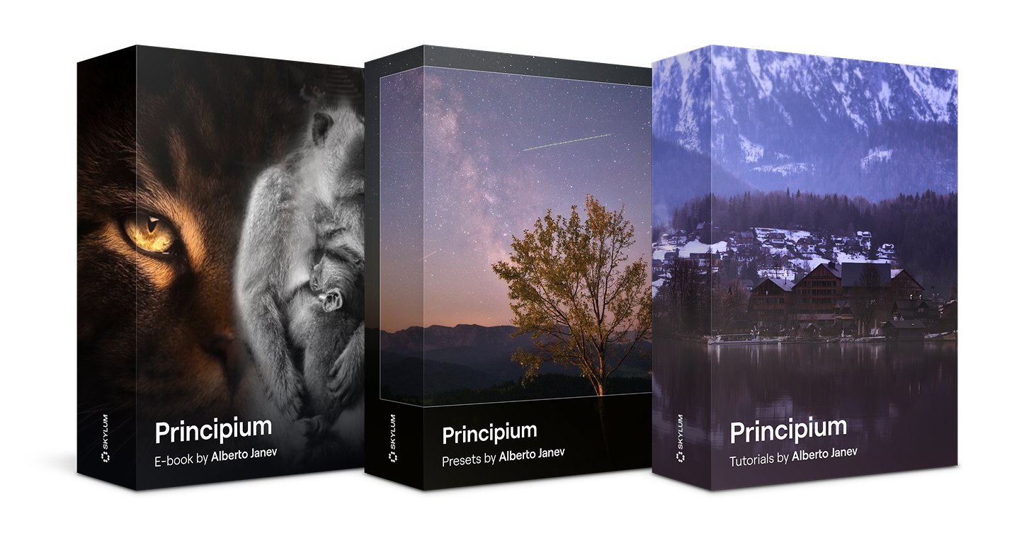 Principium Bundle by Alberto Janev(40)