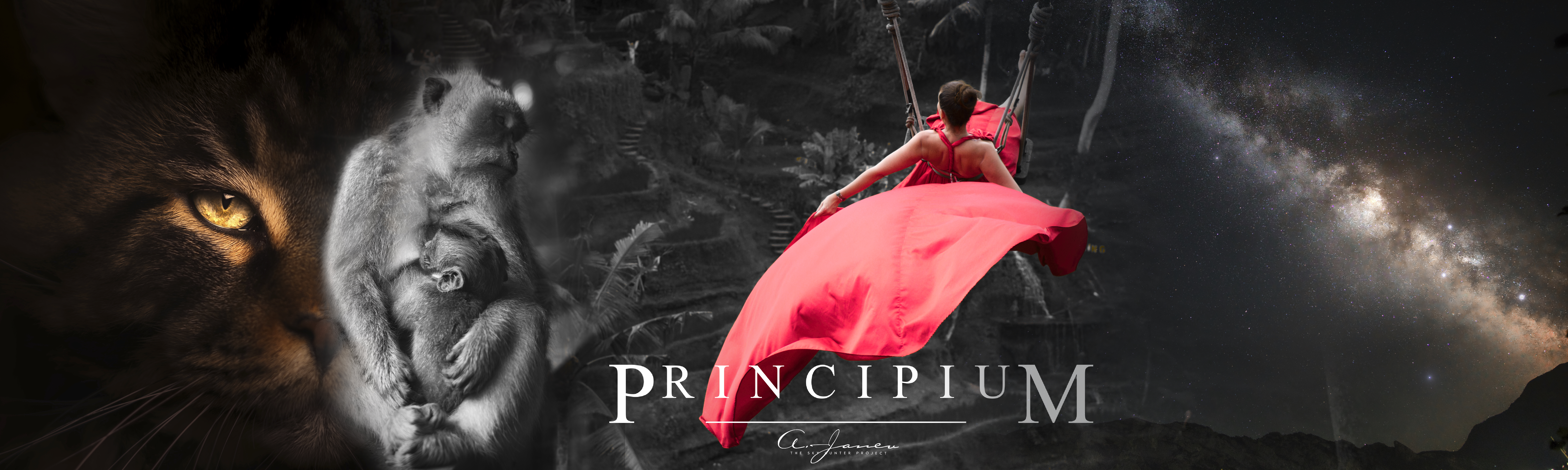 Principium Bundle