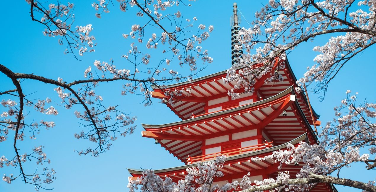 Sakura Haze Presets for Luminar | Marketplace(48)