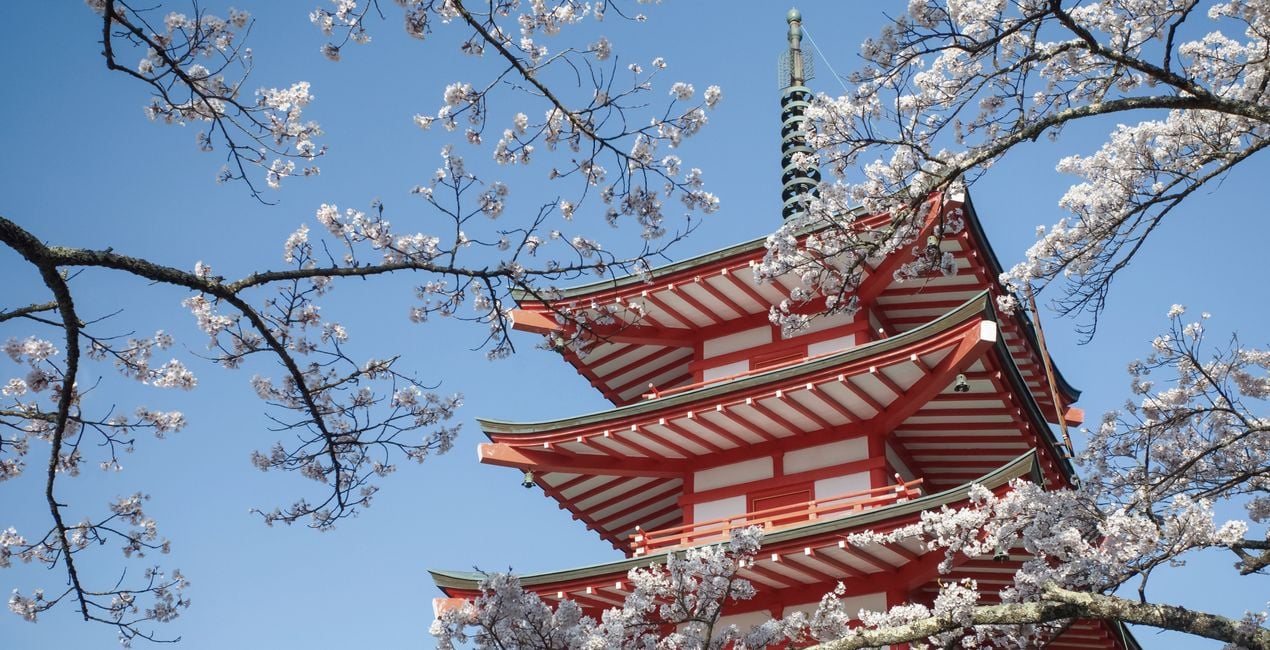 Sakura Haze Presets for Luminar | Marketplace(47)