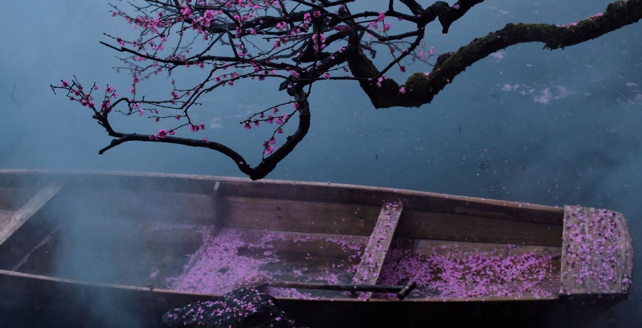 Sakura Haze Presets for Luminar | Marketplace(40)