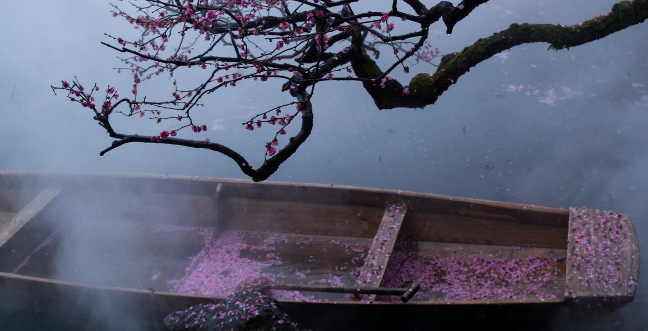 Sakura Haze Presets for Luminar | Marketplace(39)