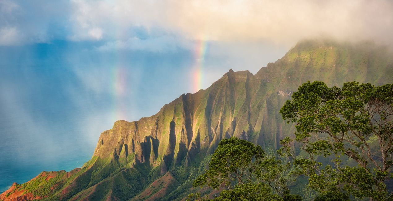 Sunlight Poetry Presets for Luminar | Marketplace(47)