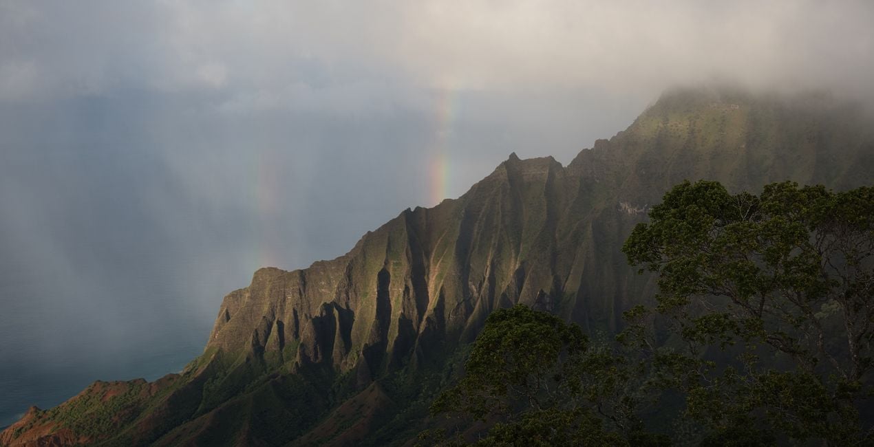 Sunlight Poetry Presets for Luminar | Marketplace(46)