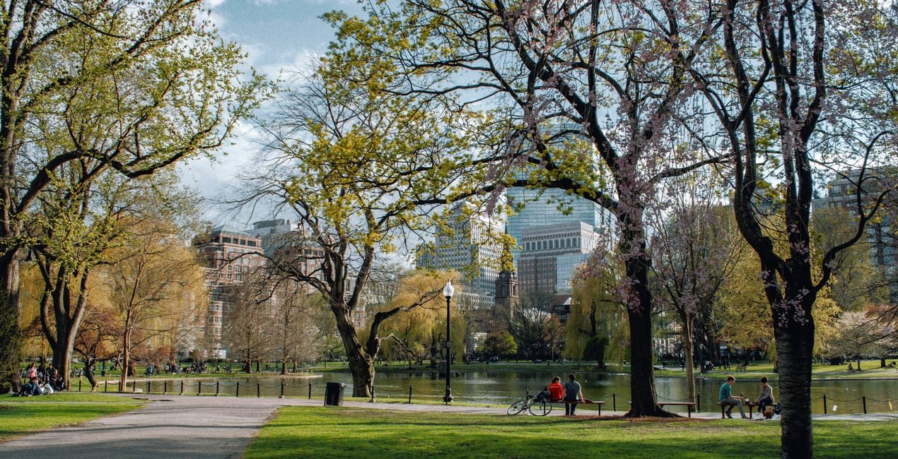 Metropolitan Spring Presets for Luminar | Marketplace(48)