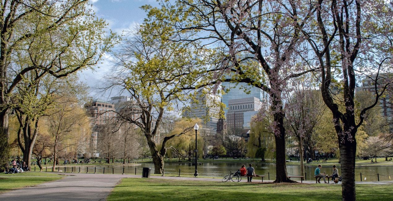 Metropolitan Spring Presets for Luminar | Marketplace(47)