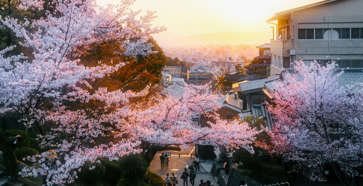 Metropolitan Spring Presets for Luminar | Marketplace(42)