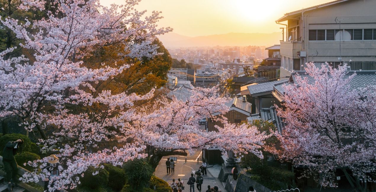 Metropolitan Spring Presets for Luminar | Marketplace(41)