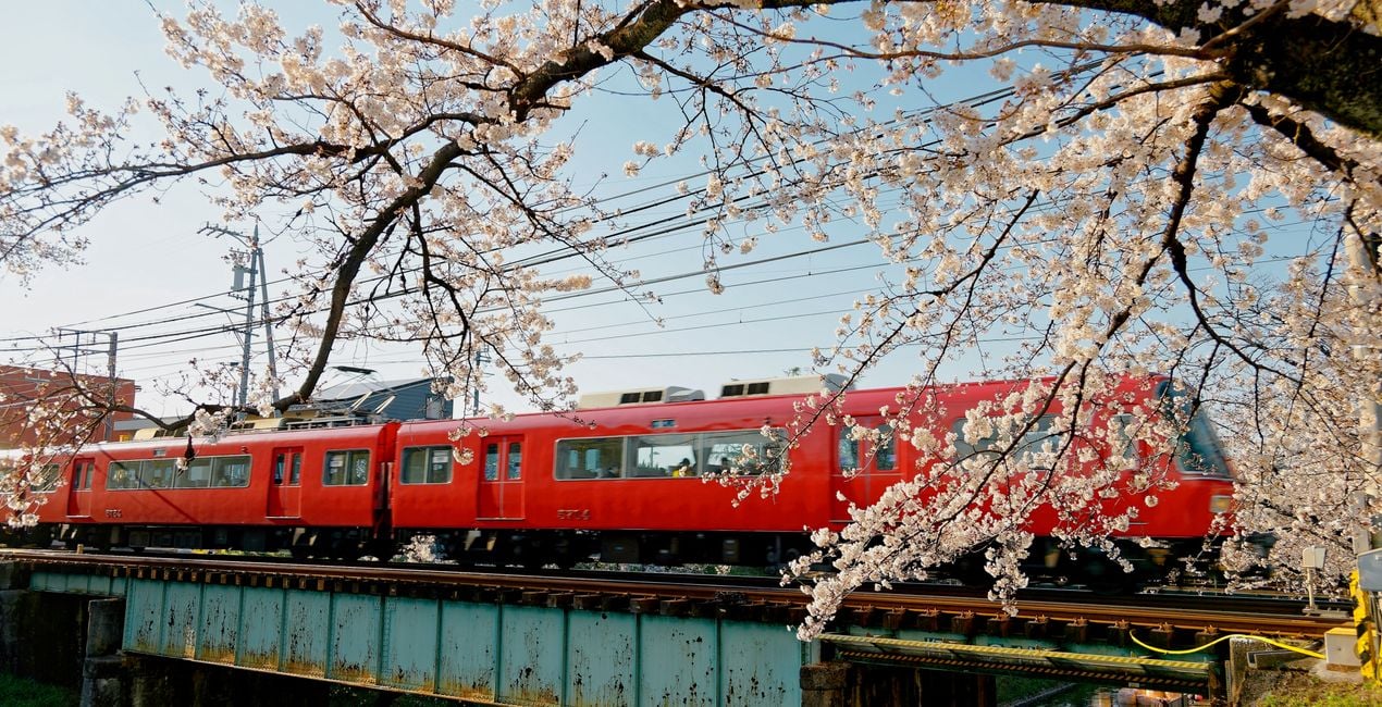 Metropolitan Spring Presets for Luminar | Marketplace(46)