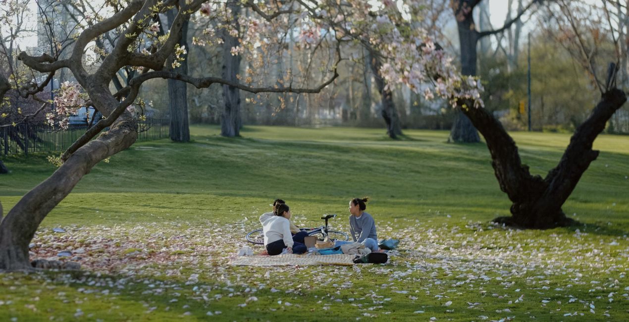 Metropolitan Spring Presets for Luminar | Marketplace(43)