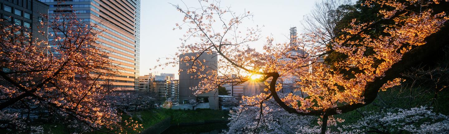 Metropolitan Spring — slide 2