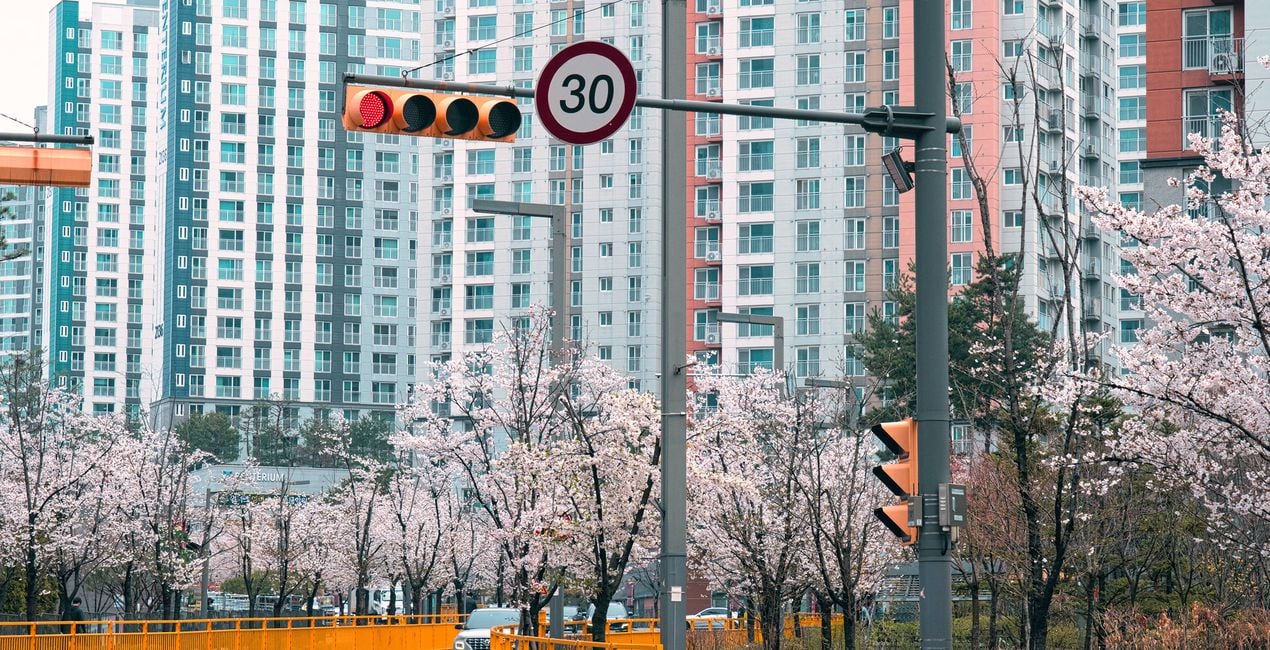 Flourishing Form Presets for Luminar | Marketplace(46)