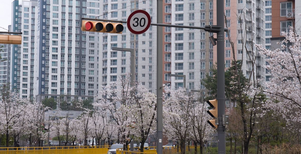 Flourishing Form Presets for Luminar | Marketplace(45)