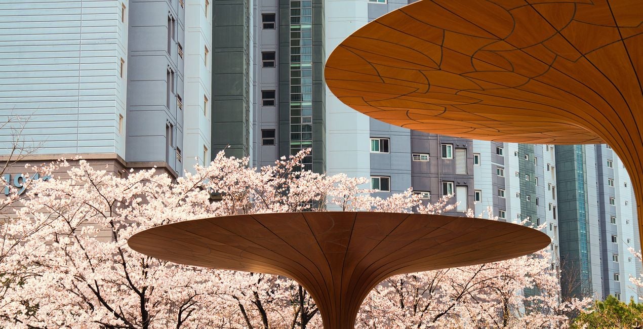 Flourishing Form Presets for Luminar | Marketplace(48)