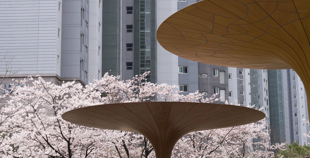 Flourishing Form Presets for Luminar | Marketplace(47)