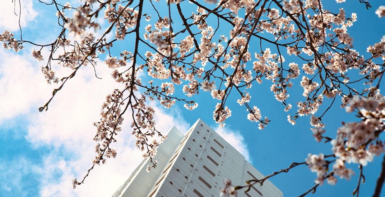 Flourishing Form Presets for Luminar | Marketplace(44)