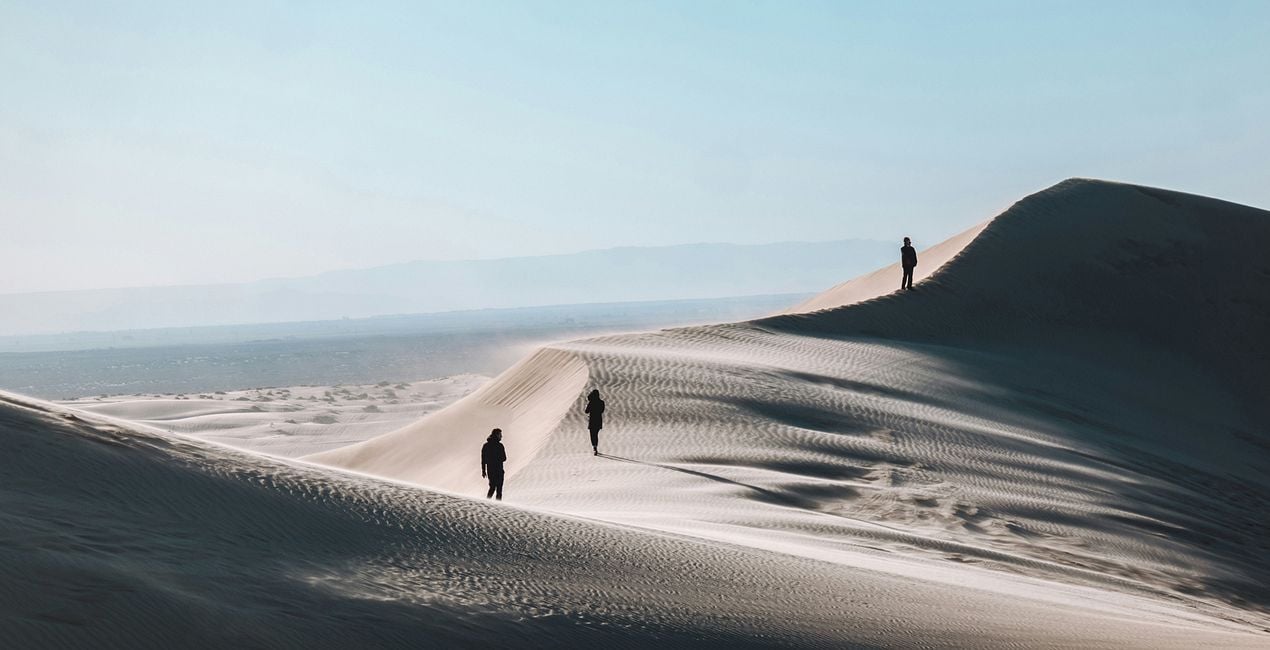 Screen Language Presets for Luminar | Marketplace(41)