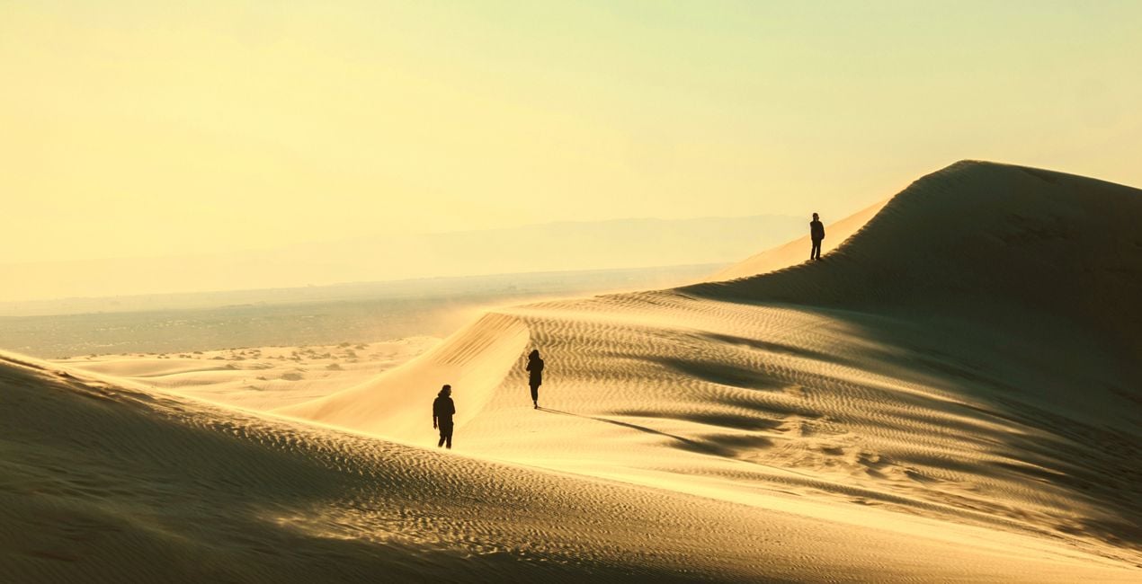 Screen Language Presets for Luminar | Marketplace(42)