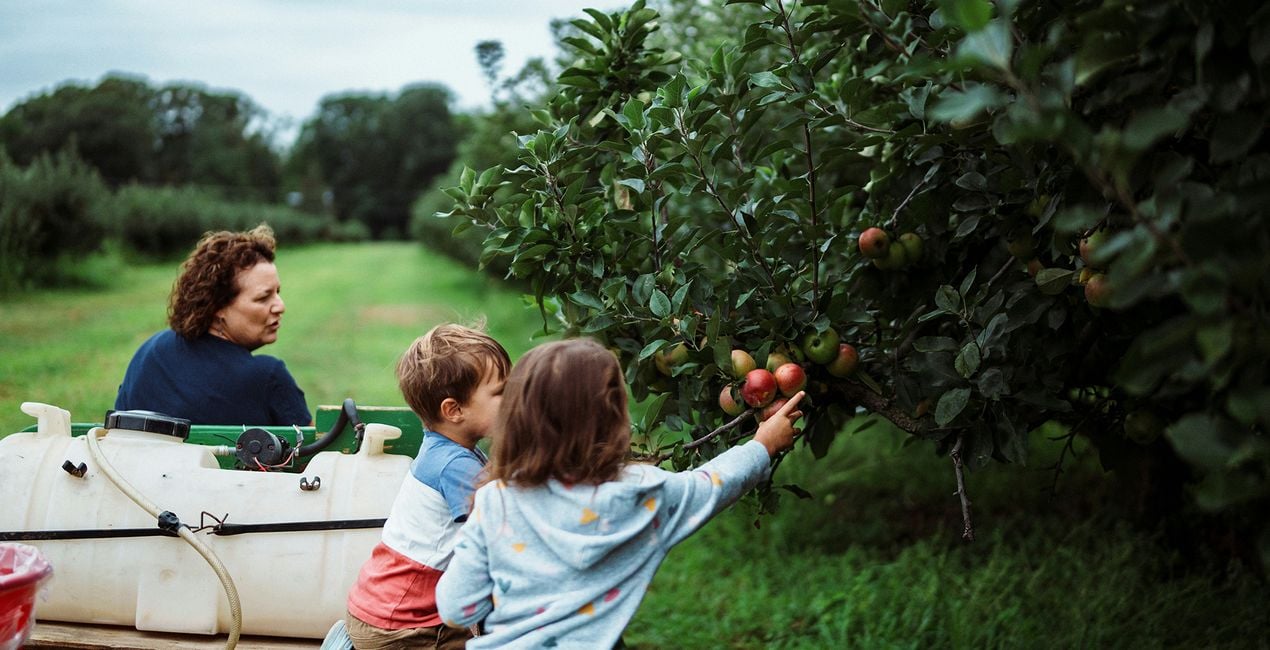 Screen Language Presets for Luminar | Marketplace(43)