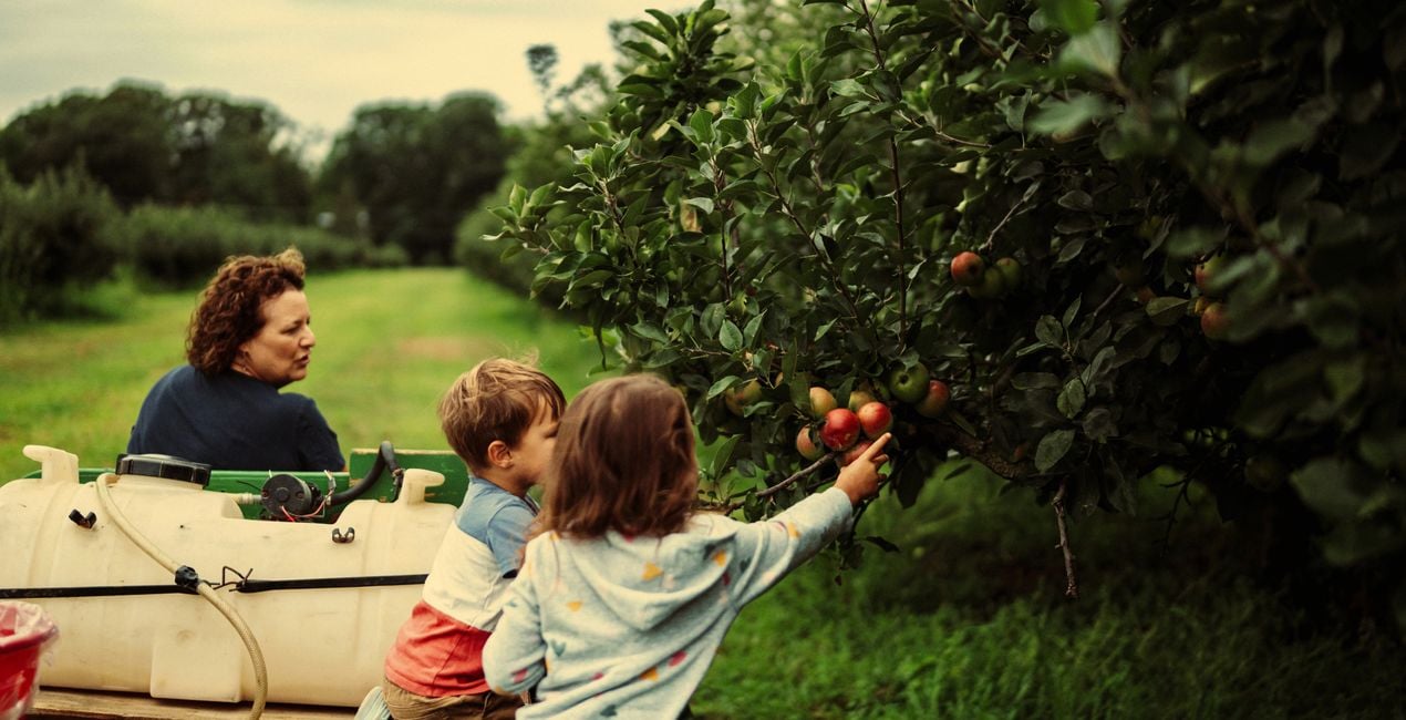 Screen Language Presets for Luminar | Marketplace(44)