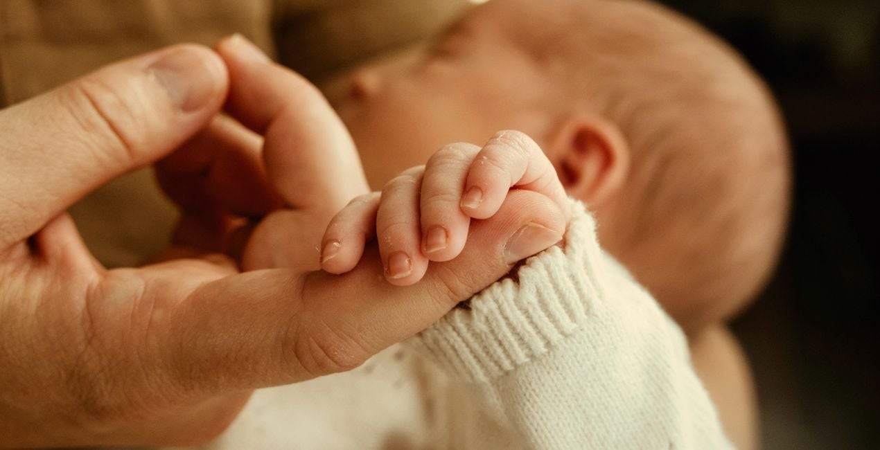 Screen Language Presets for Luminar | Marketplace(46)