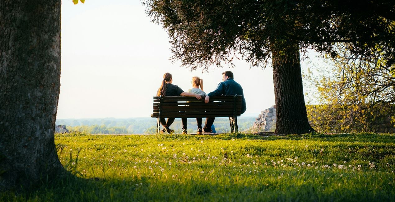 Screen Language Presets for Luminar | Marketplace(39)