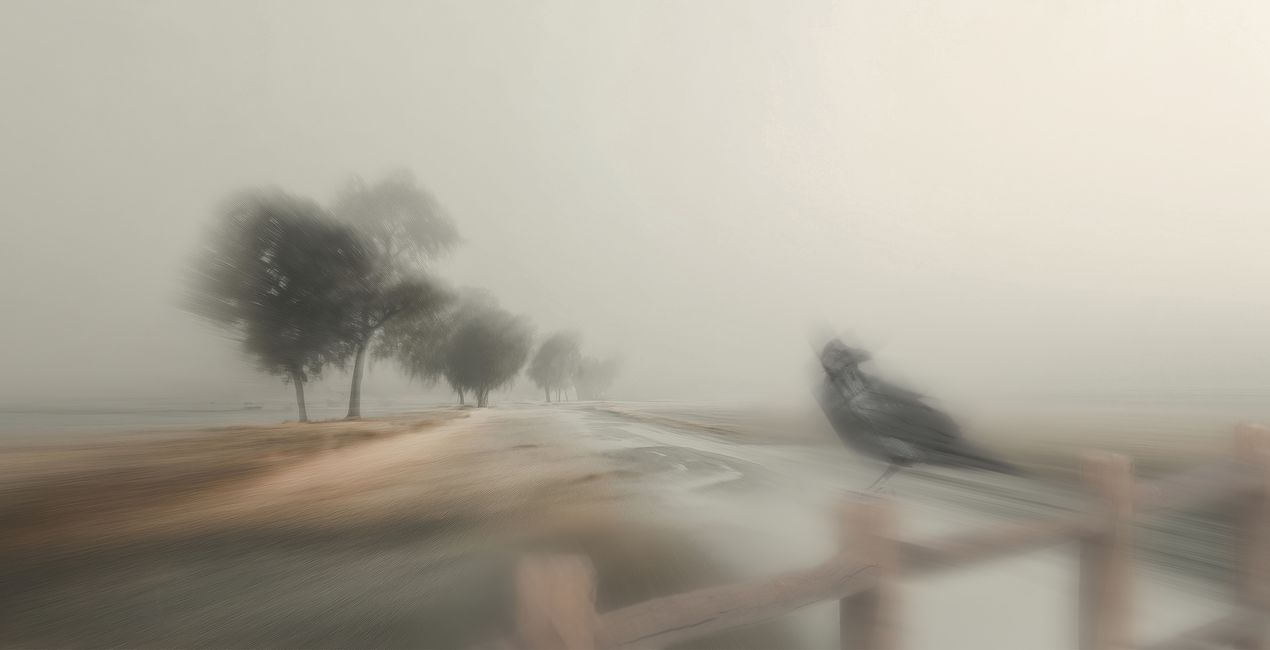 Blurred Horizons Backgrounds for Luminar | Marketplace(46)