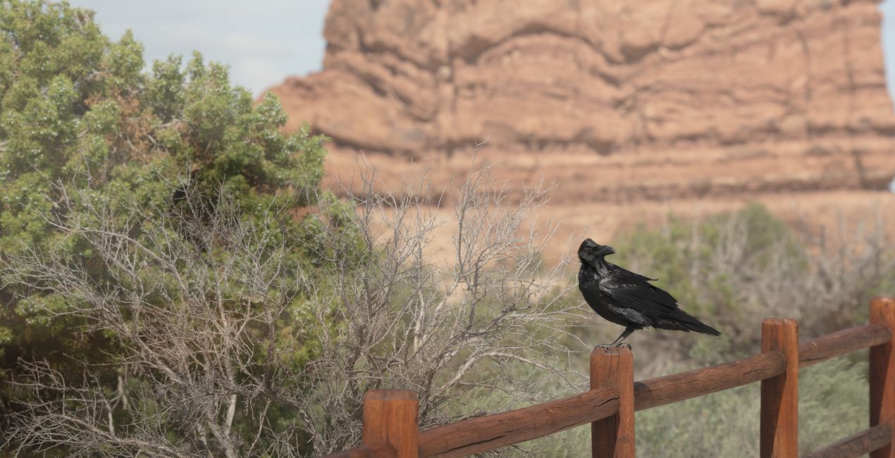 Blurred Horizons Backgrounds for Luminar | Marketplace(45)