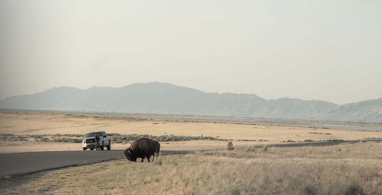 Blurred Horizons Backgrounds for Luminar | Marketplace(41)