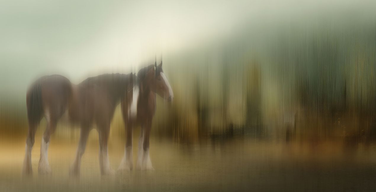 Blurred Horizons Backgrounds for Luminar | Marketplace(50)