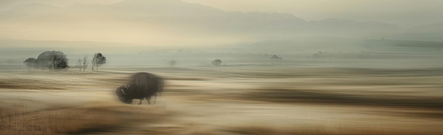 Blurred Horizons — slide 3