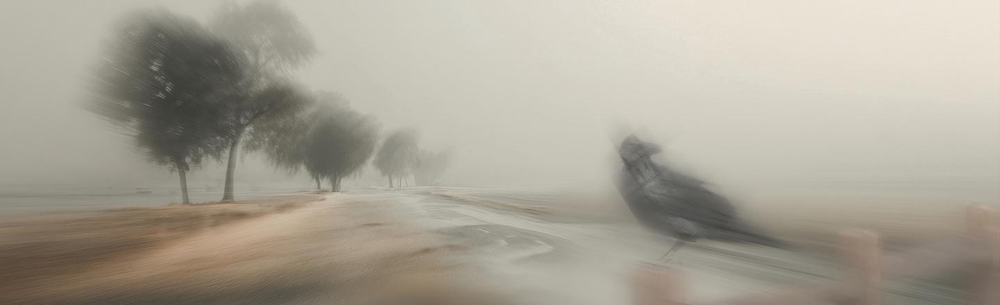 Blurred Horizons — slide 1